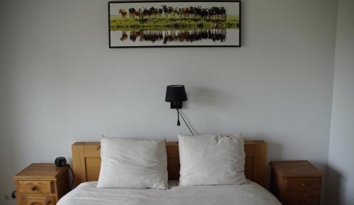 Double Room with Terrace