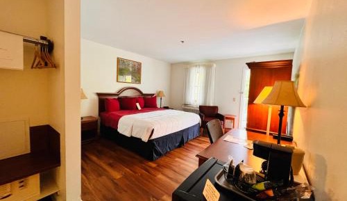 NonSmoking King Balcony PET FRIENDLY