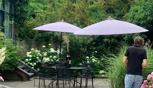 King Room with Garden View