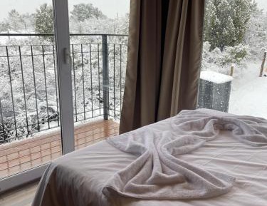 Apartment with Mountain View