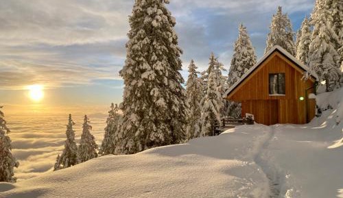 Two-Bedroom Chalet