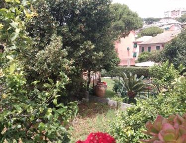 Apartment with Garden View