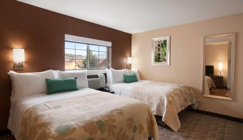 Studio Suite with Two Double Beds - Non-Smoking
