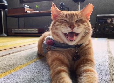 Deluxe Double Room with external private bathroom