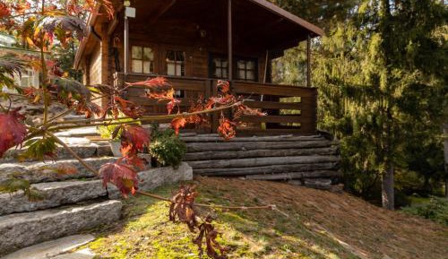 One-Bedroom Chalet
