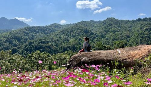 Double Room with Mountain View