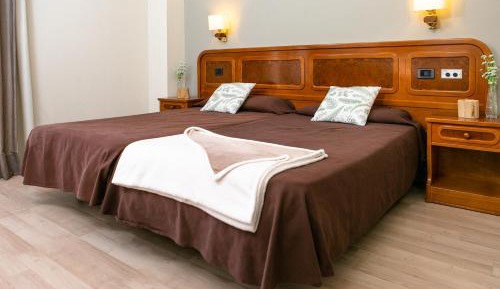 Superior Single Room