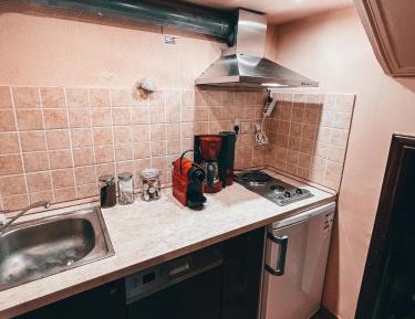 Twin Room with Meteora View