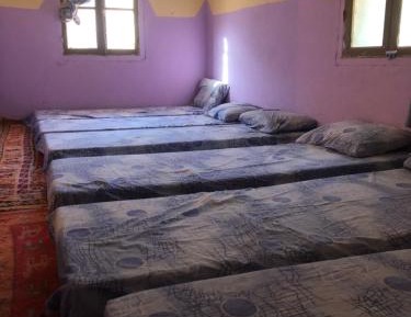 Bed in 4-Bed Mixed Dormitory Room