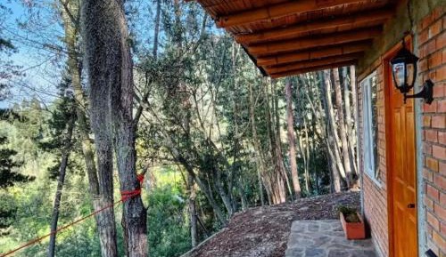 Double or Twin Room with Private Bathroom