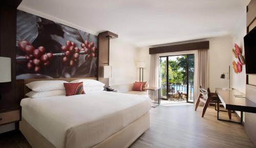 Ground Floor King Room with Pool View