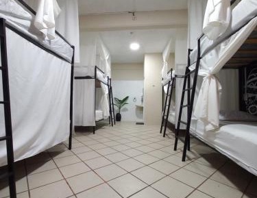 Bed in 8-Bed Dormitory Room