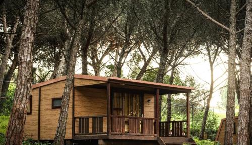 One-Bedroom Bungalow