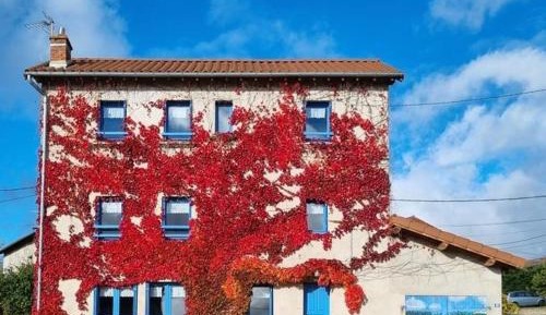 Holiday Home (8 Adults)