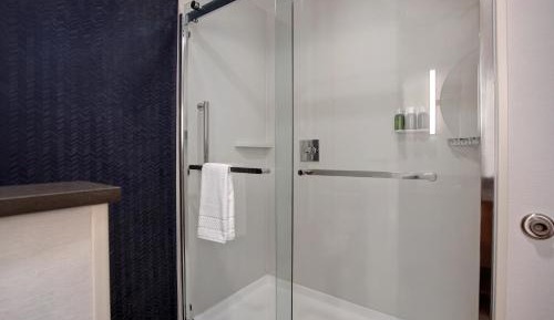 Suite, 1 King, Sofa bed