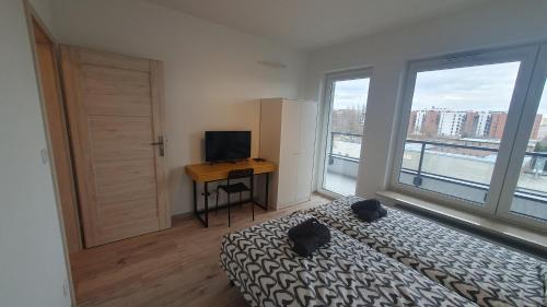 Large Double or Twin Room