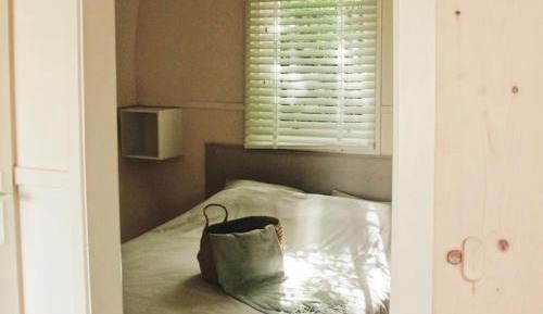 Quadruple Room with Terrace