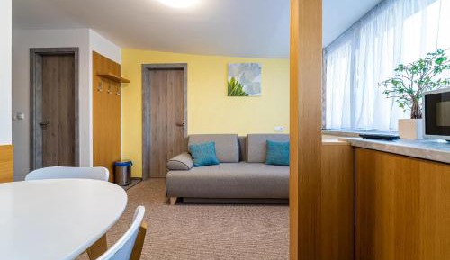 Superior Studio - Attic