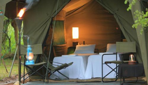 Glamping bordering Yala with a Guided Bush Walk	