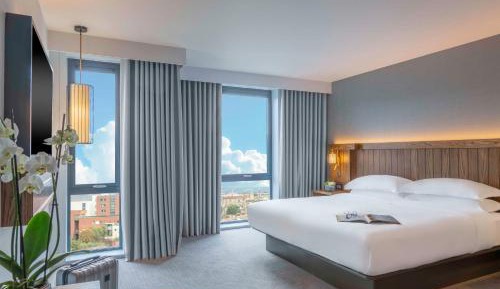 Deluxe King Room