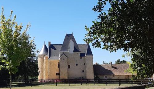 Superior Villa