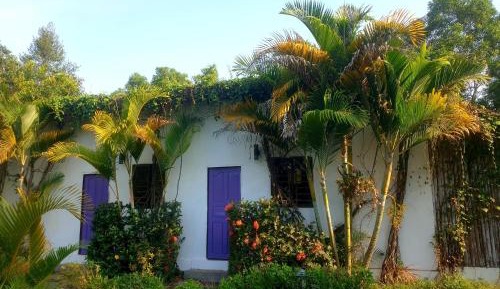 Deluxe Double Room with Pool View