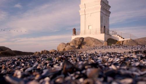 Standard Holiday Home