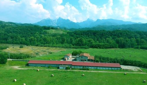 Triple Room with Mountain View