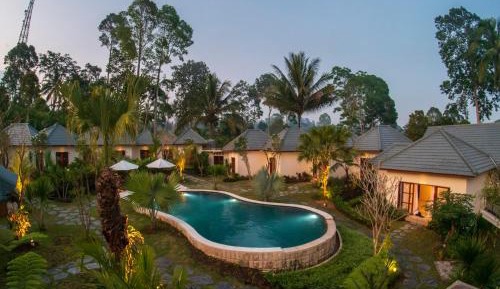King Room with Pool View