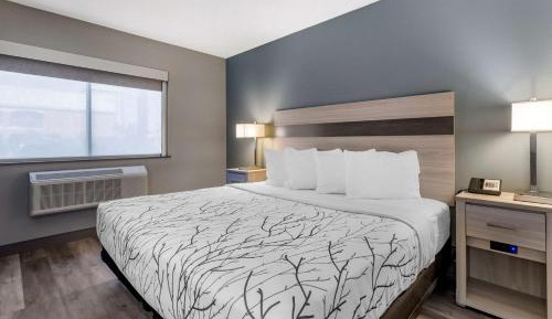 King Room - Pet-Friendly