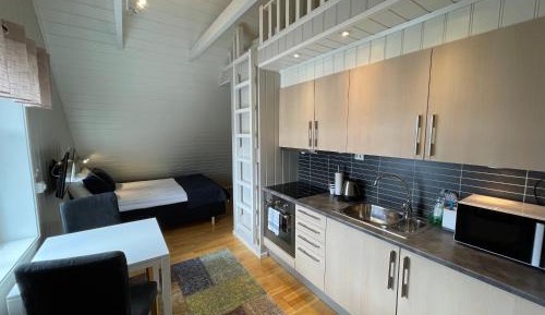 Penthouse Apartment