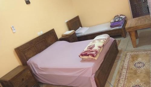 Triple Room with palm grove View