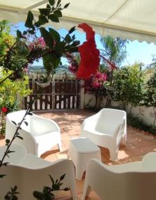 Apartment with Garden