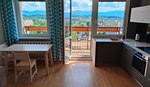 Penthouse Apartment