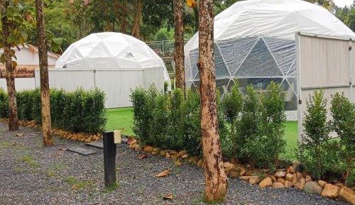 Superior Family Room