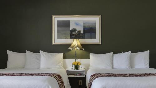 Queen Suite