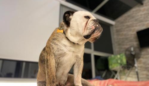 Double Room with Lake View