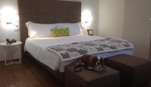 Comfort Double or Twin Room