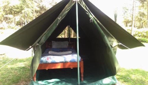 Tent