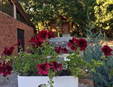 Family Room with Mountain View