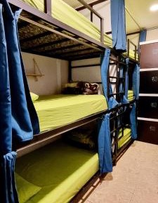 Bunk Bed in Mixed Dormitory Room