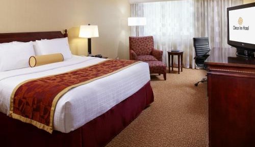 King Room - Disability Access