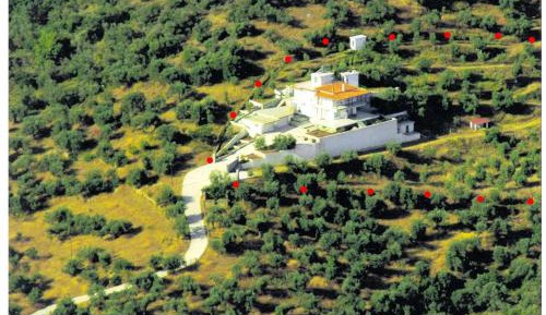 Superior Villa