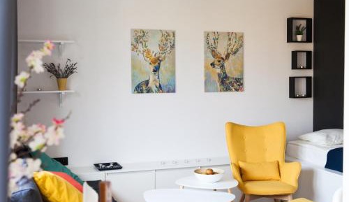 Studio Apartment