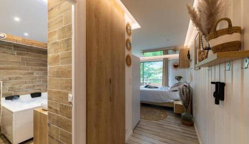 Studio with Mountain View