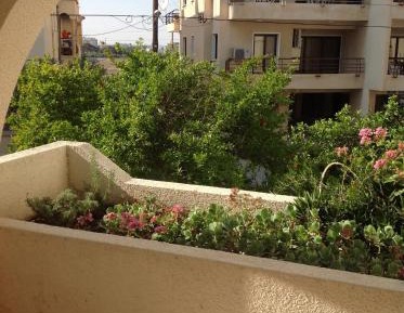 Economy One-Bedroom Apartment