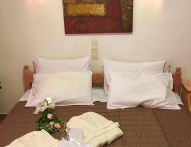 Deluxe Double or Twin Room with Garden View