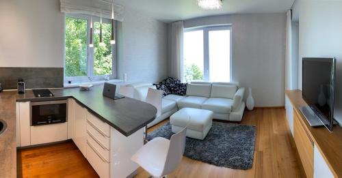 Apartment with Lake View