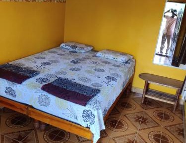 Deluxe Double or Twin Room with River View