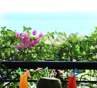 Deluxe Double or Twin Room with Ocean View